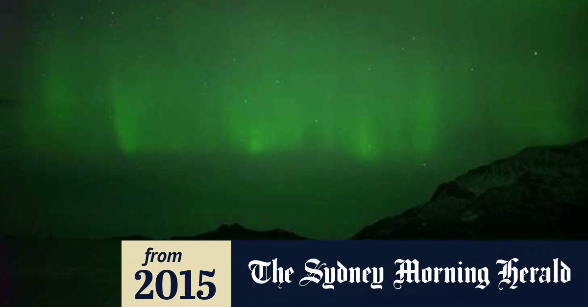 Video: Whales under the Northern Lights